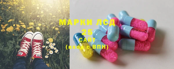 гашик Дмитровск