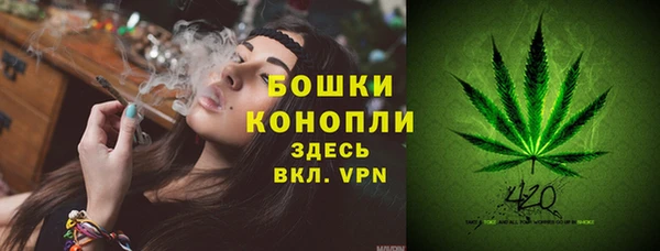 гашик Дмитровск