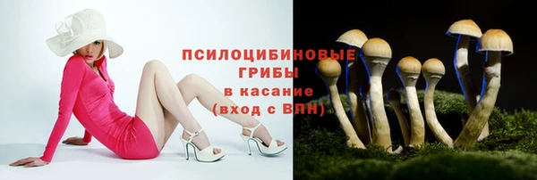 mix Дмитриев