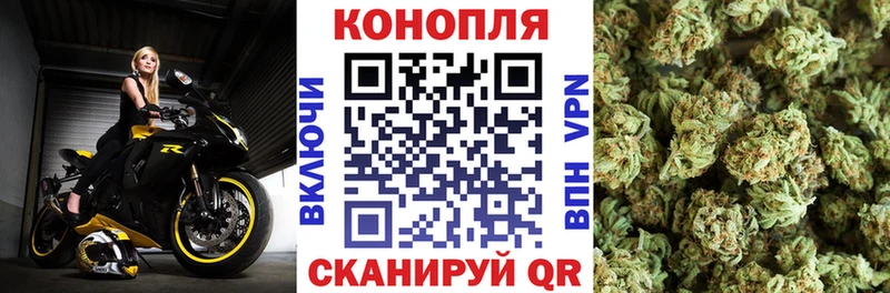 Купить где  Котово  МАРИХУАНА планчик 